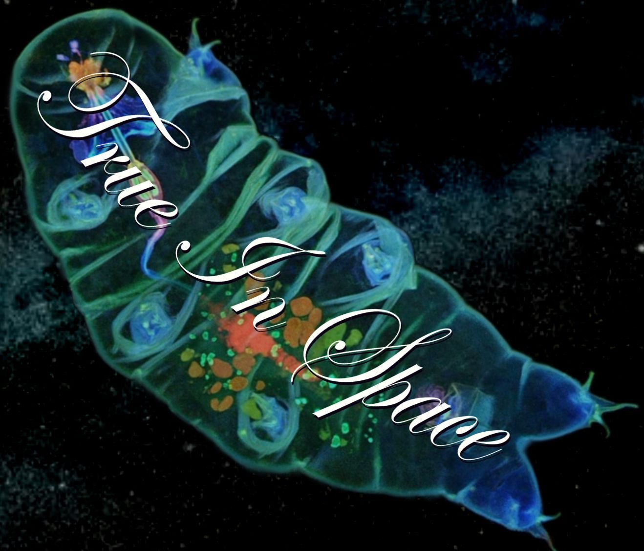 My 2nd release